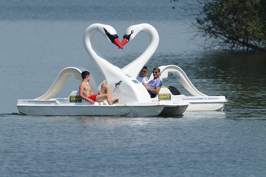 two swan paddle boats