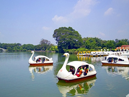 ride swan paddle boats